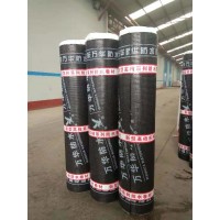 Cheap Price Elastic Sbs Modified Bitumen Waterproof Membrane