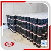 3mm Torched  Sbs/APP Modified Bitumen Waterproof Sheet Membrane with Polyester Mat for Roofing